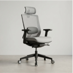 Ergonomic Office Chairs