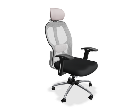 Oakcraft Matrix Mesh Office Ergonomic Chair 3D