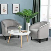 Oakcraft Accent Chair Set of 2, Boucle Fabric Club Chair, Furry Sherpa Elegant Siting Chair with Cozy Soft Padded for Living Room Bedroom Reception Room Office,