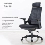 Oakcraft Mesh Office Adjustable Arm Chair
