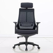 Oakcraft Mesh Office Adjustable Arm Chair