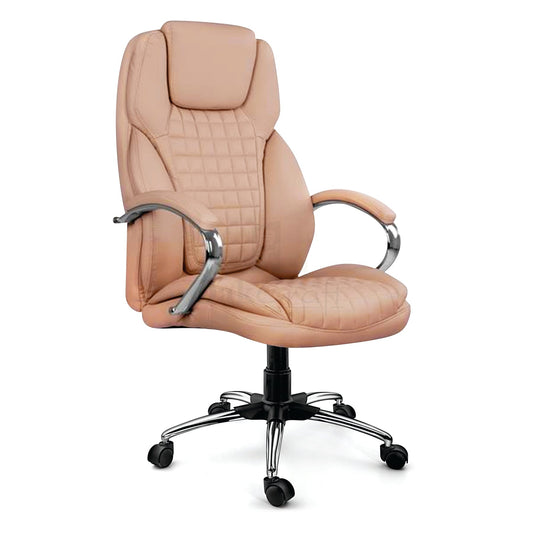 Ergonomic Executive Office Chair with Lumbar Support