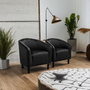 Oakcraft Accent Chair Set of 2, Boucle Fabric Club Chair, Furry Sherpa Elegant Siting Chair with Cozy Soft Padded for Living Room Bedroom Reception Room Office,