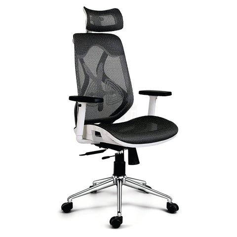 Ergonomic Mesh Office Chair with Lumbar Support